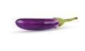 Vector, eps 10, Fresh eggplant isolated on white Background