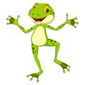Cartoon funny frog posing on white background Royalty Free Stock Photo
