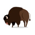 Print. Vector buffalo. cartoon bull.