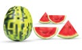 3d vector water melons Illsutration, eps 10. Royalty Free Stock Photo