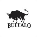 Buffalo exclusive logo design inspiration exelent Royalty Free Stock Photo