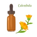 Calendula tincture in glass dropper bottle isolated on white background. Vector illustration