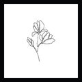 Simple continous line art floral illustration Royalty Free Stock Photo
