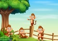 A group of monkeys inside the wooden fence