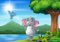 Scene with elephant and blue bird having fun at nature Royalty Free Stock Photo