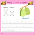 Illustrator of writing a-z Fruit & Vegtable X Royalty Free Stock Photo