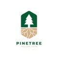 Pine tree logo design vector template Royalty Free Stock Photo