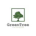 Tree in the frame logo template Royalty Free Stock Photo