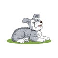 Cute gray dog sitting on grass hand draw vector