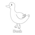 Duck Line Art For Coloring Book Page for Kid