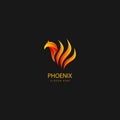 Luxury phoenix logo concept. best phoenix bird logo design Royalty Free Stock Photo