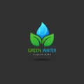 Leaf eco green. simple logo design concept template