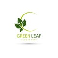 Leaf eco green logo design concept template