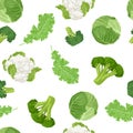 Cabbage seamless pattern. Kale, cauliflower, broccoli, fresh cabbage on white background.