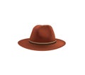 Brown fedora hat