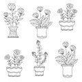 Floral Plant and botanical vector set