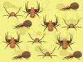 Crab Spider Cartoon Character Vector Seamless Background Wallpaper-01