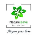 Green Leaf Logo with border,Isolated on white background.