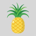 Pinapple flat vector illustration isolated on background Royalty Free Stock Photo