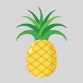 Pinapple flat vector illustration isolated on background