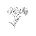 Sketch style hand drawn floral illustration