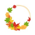 Autumn leaves golden round frame isolated on white background. Royalty Free Stock Photo