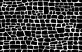 Reptile surface monochrome croc leather texture. Animal background for printing. Vector