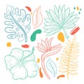 Tropical leaves and flower illustrations, modern & trendy hand drawn style