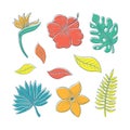 Tropical leaves and flower illustrations, modern & trendy hand drawn style