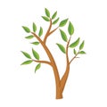 Cute Cartoon Branch or trunk with green leaves