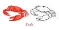 Crab vector color cartoon illustration and black and white outline.