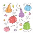 Pretty hand drawn Autumn Elements Set. Fall Floral Clipart vector illustration