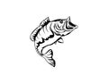 Fish hand drawn vector illustrations Royalty Free Stock Photo