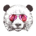 Sketch Of Giant Panda With Sunglasses. Hand Drawn Head In Monochrome Style