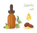 Jojoba oil in amber glass dropper bottle isolated