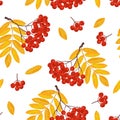 Rowan seamless pattern. Bunches of red berries and yellow autumn leaves