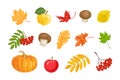 Collection of autumn illustrations. Set of elements for design.