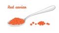 Red caviar in metal spoon isolated.