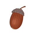 Acorn isolated on white background. Vector illustration, icon. Fruit of oak tree, nut. Royalty Free Stock Photo