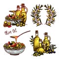 Olive Oil Sketch Set. Four Color Olive Oil Concepts In Hand Drawn Style