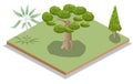 Isometric Tree Set and Icons Royalty Free Stock Photo