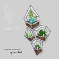 Cactus and succulent inside the quartet geometrical terrarium