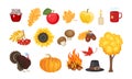 Set of autumn vector illustrations, icons.