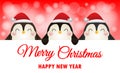 Merry Christmas and Happy new year poster, cheerful group of penguin wearing christmas hats holding big sign board in Christmas Royalty Free Stock Photo