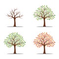 Tree in four seasons - spring, summer, autumn, winter. Isolated on white background. Abstract image.
