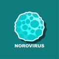 Norovirus virus vector