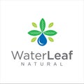 Bio green leaf water drop logo Design Vector Stock. pure Natural Healthy water leaf logo concept. Royalty Free Stock Photo