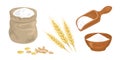 Wheat flour set.  Vector food illustration Royalty Free Stock Photo