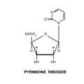 Pyrimidine Riboside