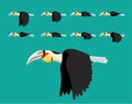 Animal Animation Sequence Wreathed Hornbill Flying Cartoon Vector